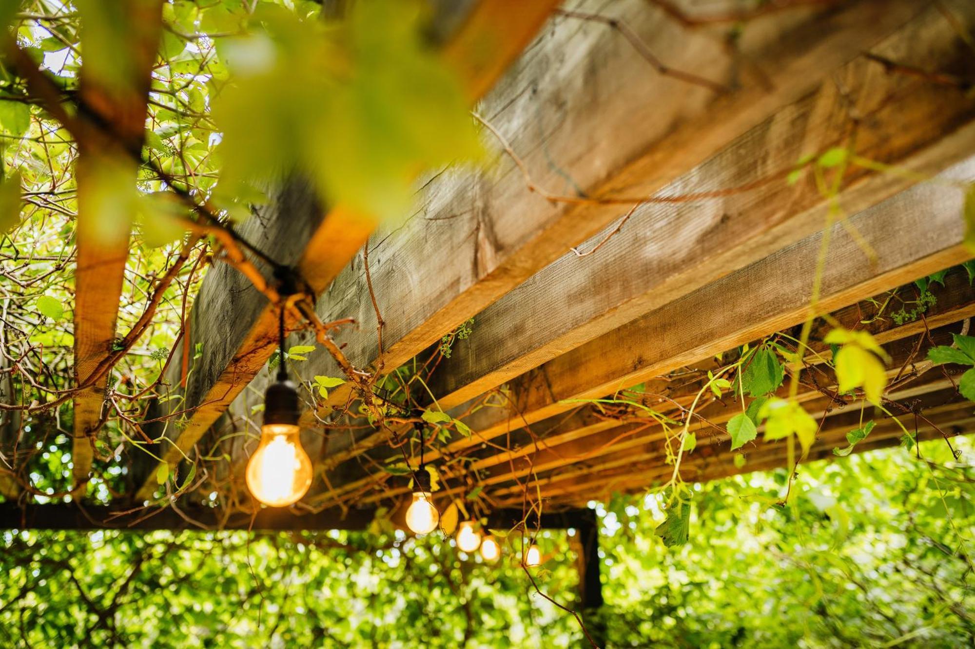 Peroj'S Green Oasis - Holiday Home Zewnętrze zdjęcie
